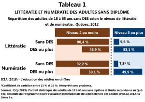 Adultes 16-65ans sansDES Repartition LitteratieNumeratie T1 I30a ICEA2019.jpg