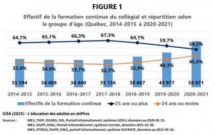 Les adultes à la formation continue du collégial