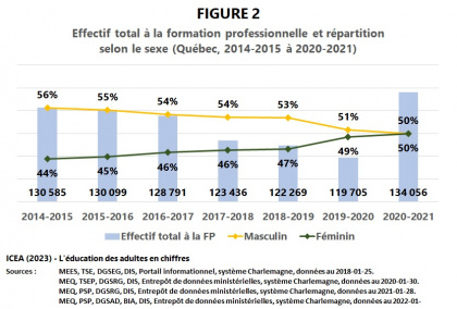 Les adultes à la Formation professionnelle